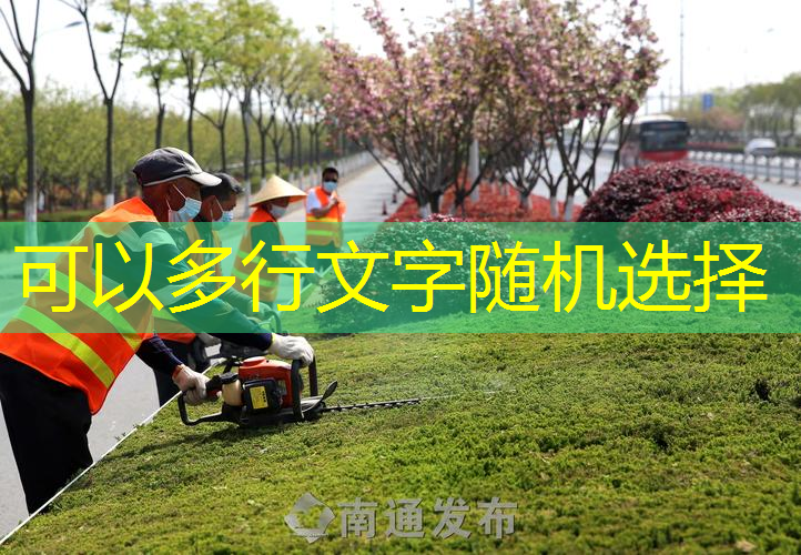 为什么没有夜光网球拍