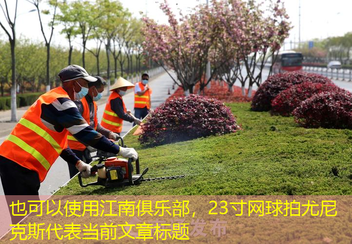 23寸网球拍尤尼克斯