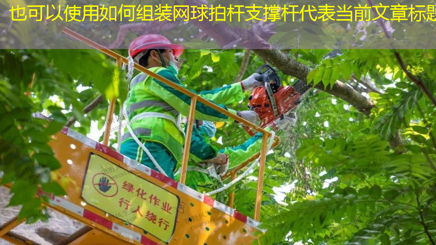 如何组装网球拍杆支撑杆
