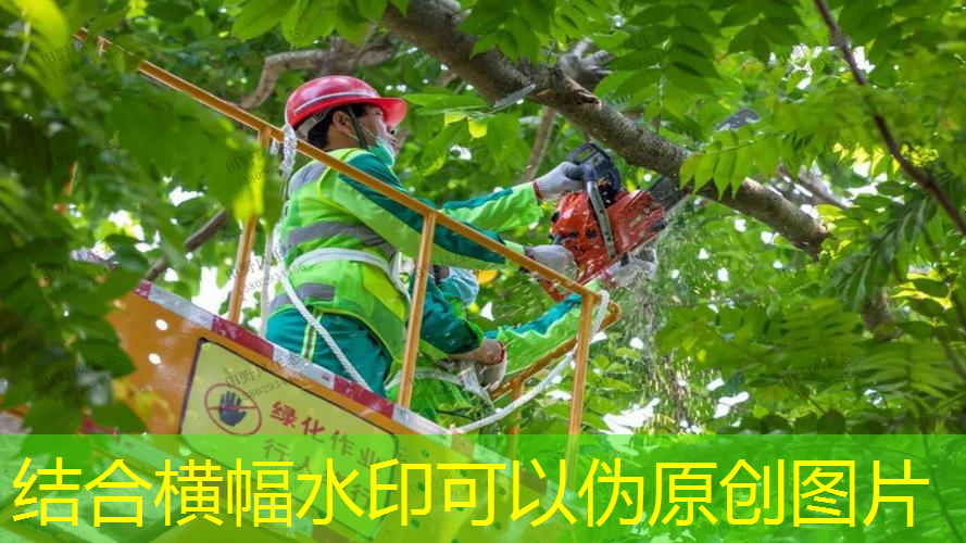 网球拍柄是吸汗带吗_