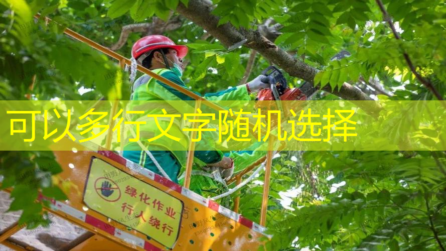 网球拍设计好看吗男孩