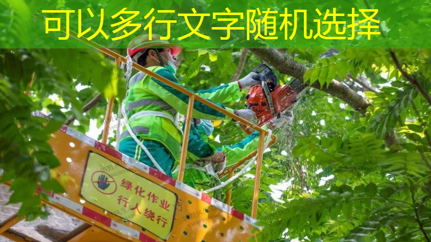 网球拍用尼克斯天斧