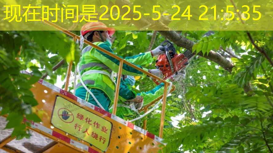 网球拍能不能放坏了呢