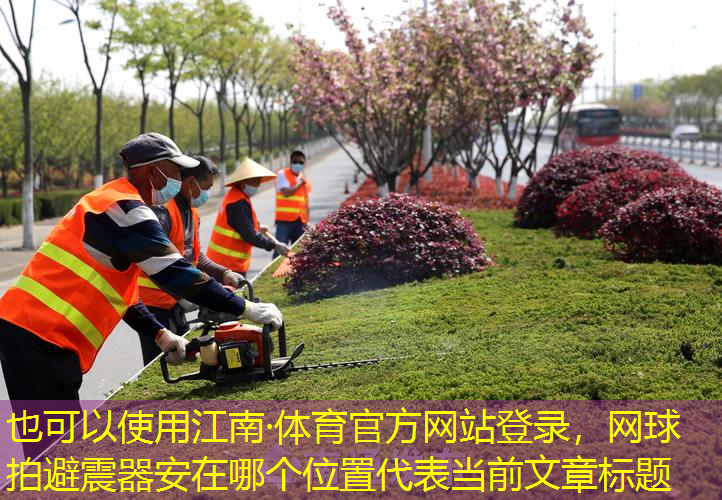 网球拍避震器安在哪个位置