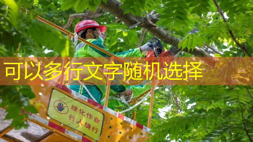 小篮球训练需要器材有哪些