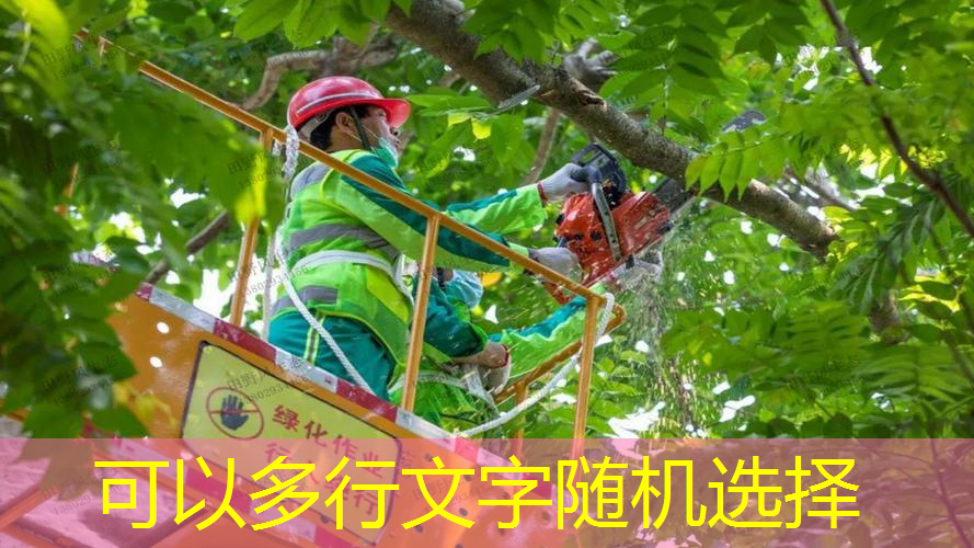 室内高端健身器材