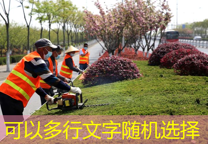 乒乓球台计入什么科目