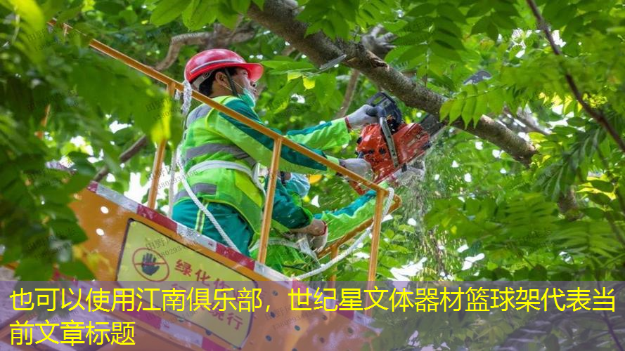 世纪星文体器材篮球架