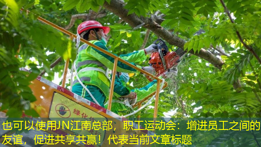 职工运动会：增进员工之间的友谊，促进共享共赢！